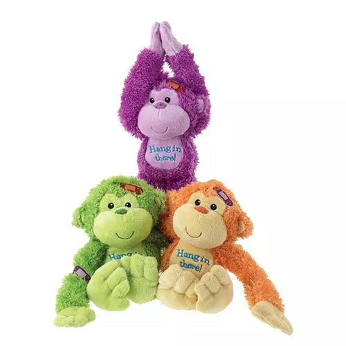 Hang In There Monkey