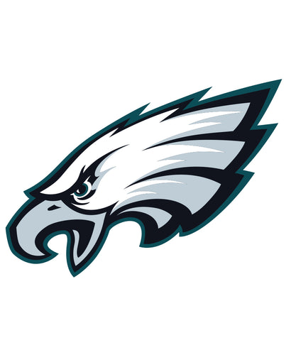 NFL Football Philadelphia Eagles Kitchen Magnets / Chip Clip Set