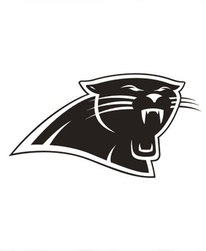 NFL Football Carolina Panthers Kitchen Magnets / Chip Clip Set