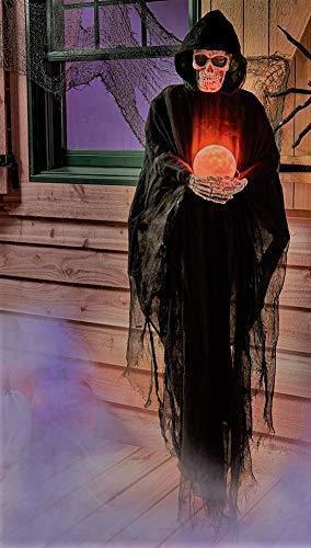 Life Size Psychic Halloween Grim Reaper